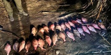 На Черкащині браконьєрам доведеться сплатити понад 100 тисяч гривень за незаконний вилов риби