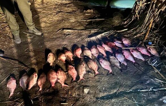 На Черкащині браконьєрам доведеться сплатити понад 100 тисяч гривень за незаконний вилов риби