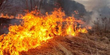На Черкащині чоловік підпалив себе під час пожежі сухостою