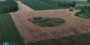 На Черкащині чоловік розорав унікальну степову рослинність