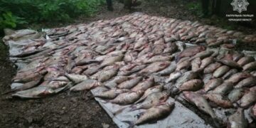 На Черкащині “спіймали” двох браконьєрів із уловом на понад 2 мільйони гривень