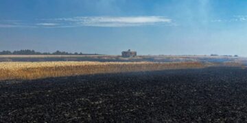 На Черкащині вогонь знищив 7 гектарів пшениці (ФОТО)