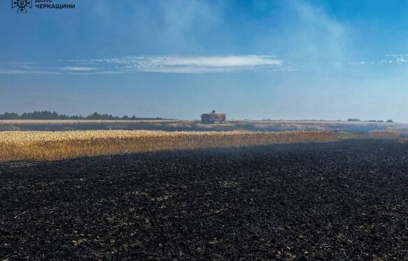 На Черкащині вогонь знищив 7 гектарів пшениці (ФОТО)