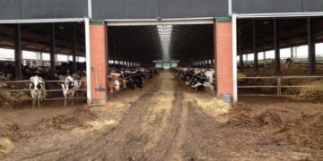 На фермі загинули троє працівників, порушено кримінальне провадження — Новости Черкасс