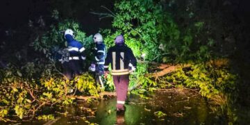 На Хмельниччині вирувала негода: понад 150 населених пунктів без електрики —Хмельнитчина