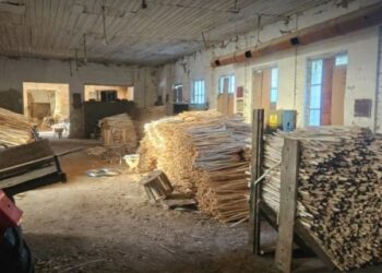 На Львівщині жінка організувала контрабанду лісоматеріалів до ЄС