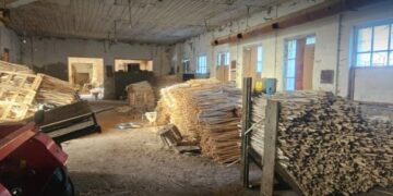 На Львівщині жінка організувала контрабанду лісоматеріалів до ЄС