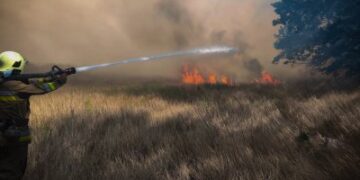 На Миколаївщині знову спостерігається тенденція до збільшення кількості пожеж за добу » Миколаївський Оглядач