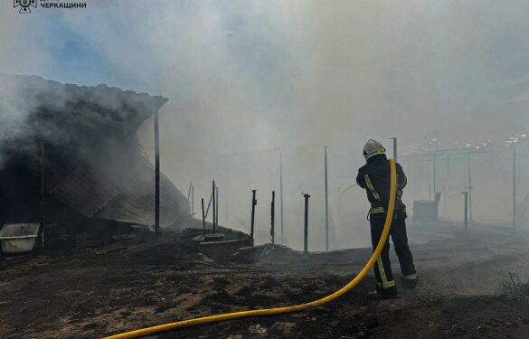 На Уманщині пожежа знищила теплиці та техніку