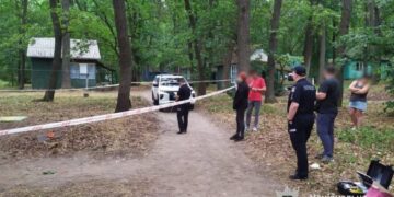 На Звенигородщині жінка вбила шампуром свого чоловіка