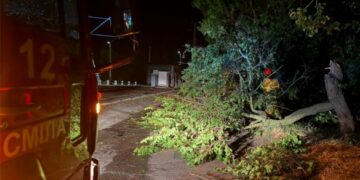 Негода вдарила по Черкащині: на дорогах повалені понад 100 дерев (ФОТО)
