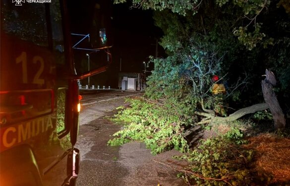 Негода вдарила по Черкащині: на дорогах повалені понад 100 дерев (ФОТО)