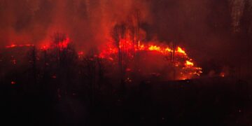 Під Полтавою спалахнув ліс через дронову атаку