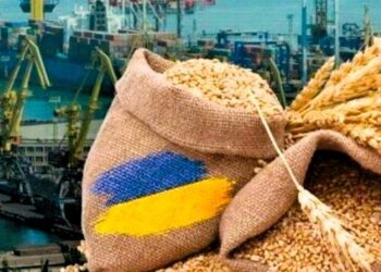 Підприємці з Одещини та Миколаївщини відмили пів мільярда на аграрному експорті :: Інтент :: Суспільно-політичне видання:: Регіональна мережа якісної журналістики