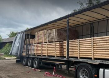 Підприємця з Київщини викрили в організації схеми контрабанди деревини до ЄС