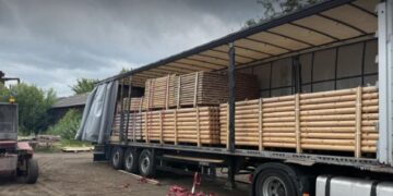 Підприємця з Київщини викрили в організації схеми контрабанди деревини до ЄС