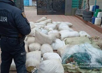 Поліцейські скерували до суду справу про браконьєрство співробітників нацпарка :: Інтент :: Суспільно-політичне видання:: Регіональна мережа якісної журналістики