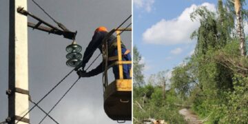 Повалені дерева та 8 населених пунктів без світла: наслідки негоди у Житомирській області | Журнал Житомира