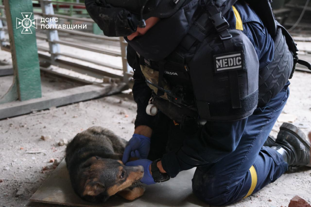 Рятувальники ліквідують наслдки обстрілу