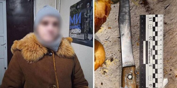 Суд виніс вирок жінці, яка вдарила свого співмешканця ножем у груди —Хмельнитчина