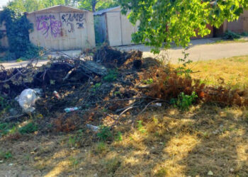 У Дніпровському районі Запоріжжя знайшли стихійні смітники – звалища мають прибрати до 12 серпня 2025 року | Новости Запорожья