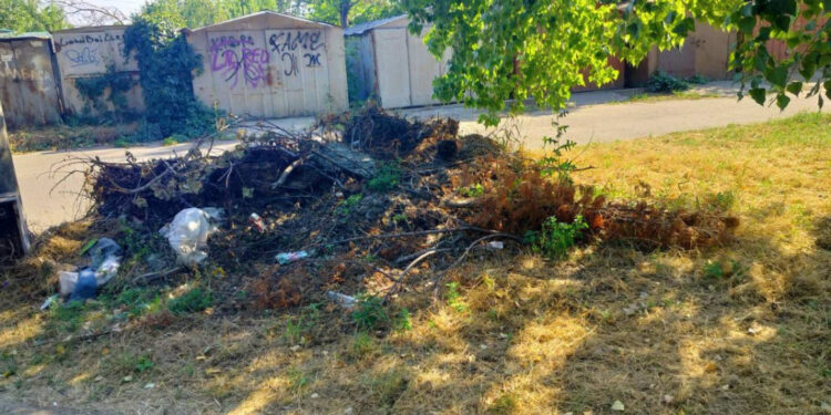 У Дніпровському районі Запоріжжя знайшли стихійні смітники – звалища мають прибрати до 12 серпня 2025 року | Новости Запорожья