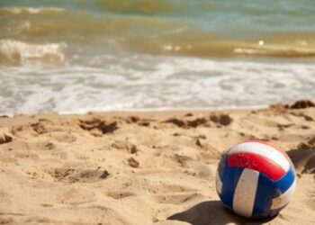 У двох зонах відпочинку Черкащини виявлено небезпечних паразитів