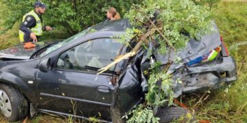 У Коростишеві авто злетіло у кювет: непритомного водія реанімували на місці | Журнал Житомира