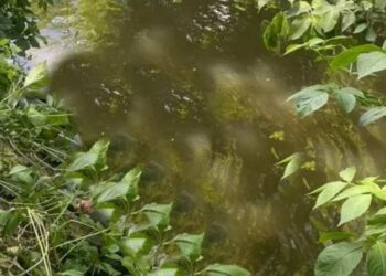 У річці поблизу Львова тонув чоловік