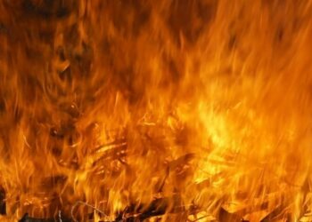 У Запоріжжі рятувальники під час пожежі витягли з квартири сім котів – в Хортицькому районі спалахнуло три балкони | Новости Запорожья