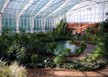 Запорізький ботанічний сад відновлює роботу після атаки дронів – відвідувачів запрошують на відкриття 14 липня | Новости Запорожья