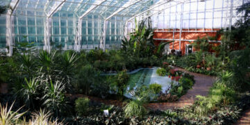 Запорізький ботанічний сад відновлює роботу після атаки дронів – відвідувачів запрошують на відкриття 14 липня | Новости Запорожья