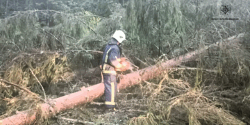 Здійснили 11 виїздів: на Прикарпатті рятувальники ліквідували наслідки негоди (ФОТО)