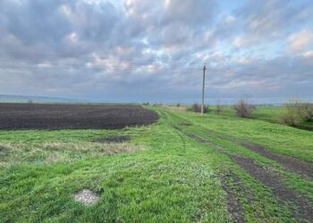 Жителя Одещини звинуватили у захопленні землі біля річки :: Інтент :: Суспільно-політичне видання:: Регіональна мережа якісної журналістики