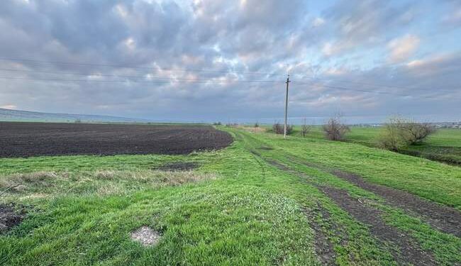 Жителя Одещини звинуватили у захопленні землі біля річки :: Інтент :: Суспільно-політичне видання:: Регіональна мережа якісної журналістики