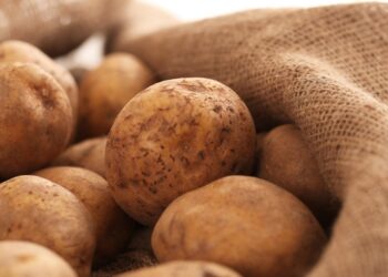 В Європі картопля подешевшала до мінімуму з 2021 р – ЭКОНОМИКА