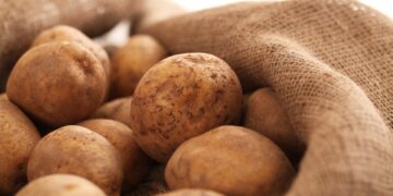 В Європі картопля подешевшала до мінімуму з 2021 р – ЭКОНОМИКА