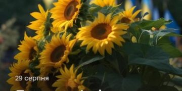 29 серпня — День пам’яті захисників України: вшановуємо полеглих героїв » Миколаївський Оглядач