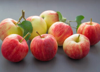 В Україні продовжують стрімко дешевшати яблука – ЭКОНОМИКА