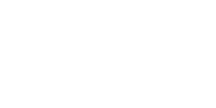 На Житомирщині загинули 700 бджолиних сімей через отруєння пестицидами – ЭКОНОМИКА