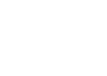 На Житомирщині загинули майже 700 бджолиних сімей – ЭКОНОМИКА