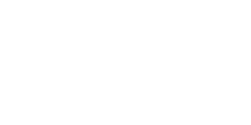 На Житомирщині загинули майже 700 бджолиних сімей – ЭКОНОМИКА