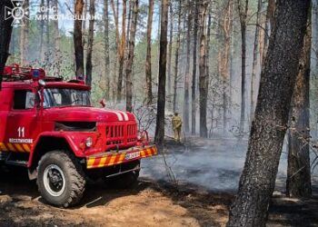 7 серпня та в ніч проти 8 на Миколаївщині зареєстровано 45 пожеж » Миколаївський Оглядач