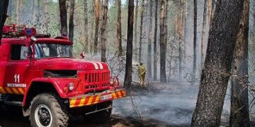 7 серпня та в ніч проти 8 на Миколаївщині зареєстровано 45 пожеж » Миколаївський Оглядач