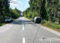 ДТП на Шепетівщині: авто з’їхало в кювет, де зіткнулось з деревом —Хмельнитчина