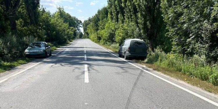 ДТП на Шепетівщині: авто з’їхало в кювет, де зіткнулось з деревом —Хмельнитчина