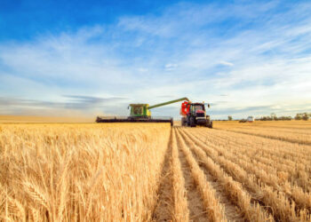 ІНФОГРАФІКА: Прогнози Нацбанку щодо врожаю стали песимістичнішими порівняно з попередніми роками – Экономика