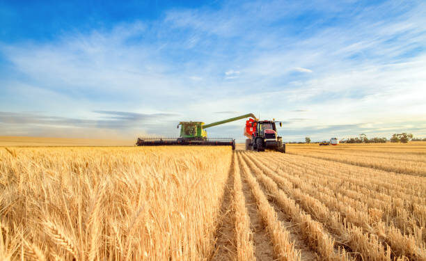 ІНФОГРАФІКА: Прогнози Нацбанку щодо врожаю стали песимістичнішими порівняно з попередніми роками – Экономика