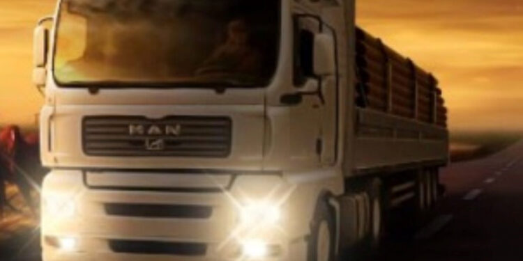 Юлія Компанієць із Запоріжжя разом із чоловіком заснували власну компанію з вантажних перевезень – грант на розширення справи | Новости Запорожья