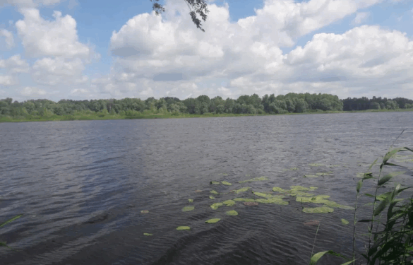 На Черкащині через суд повертають державі землі навколо Дніпра